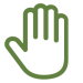 palm